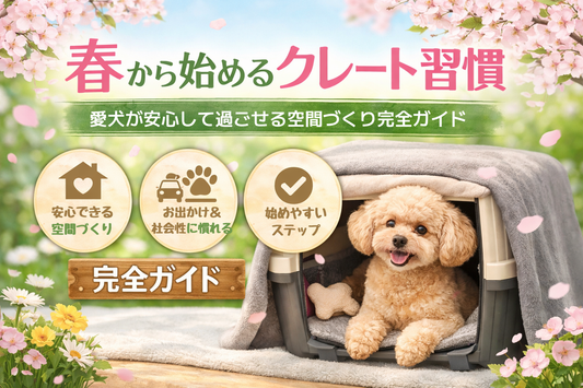 春から始めるクレート習慣｜愛犬が安心して過ごせる空間づくり完全ガイド