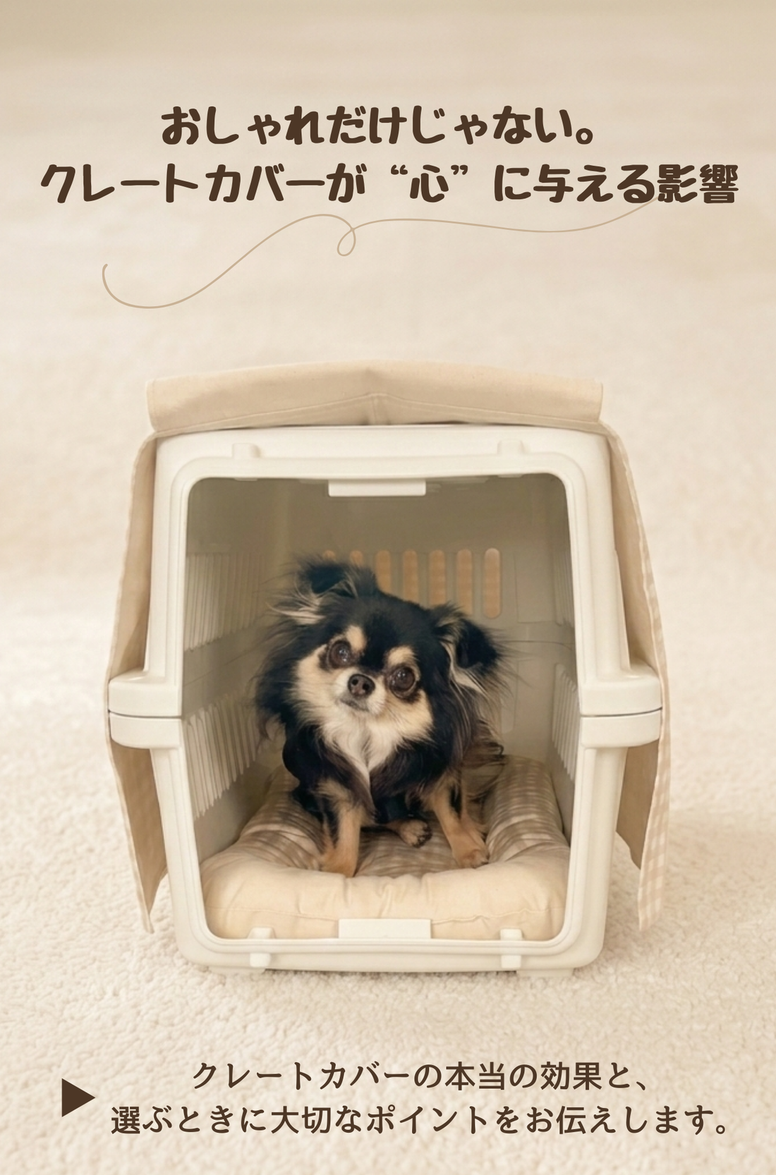 おしゃれだけじゃない。クレートカバーが“心”に与える影響