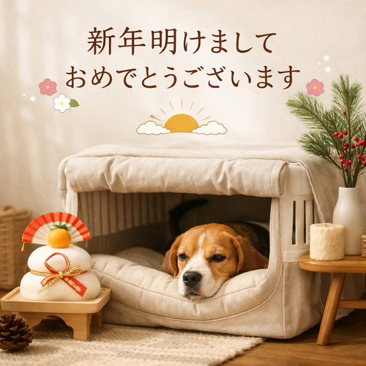 新年のご挨拶｜2026年もFIOLYは、あなたの愛するペットのために