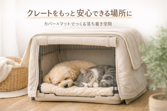 クレートをもっと安心できる場所に。カバー×マットの「ダブル使い」で変わる、犬と猫の落ち着き空