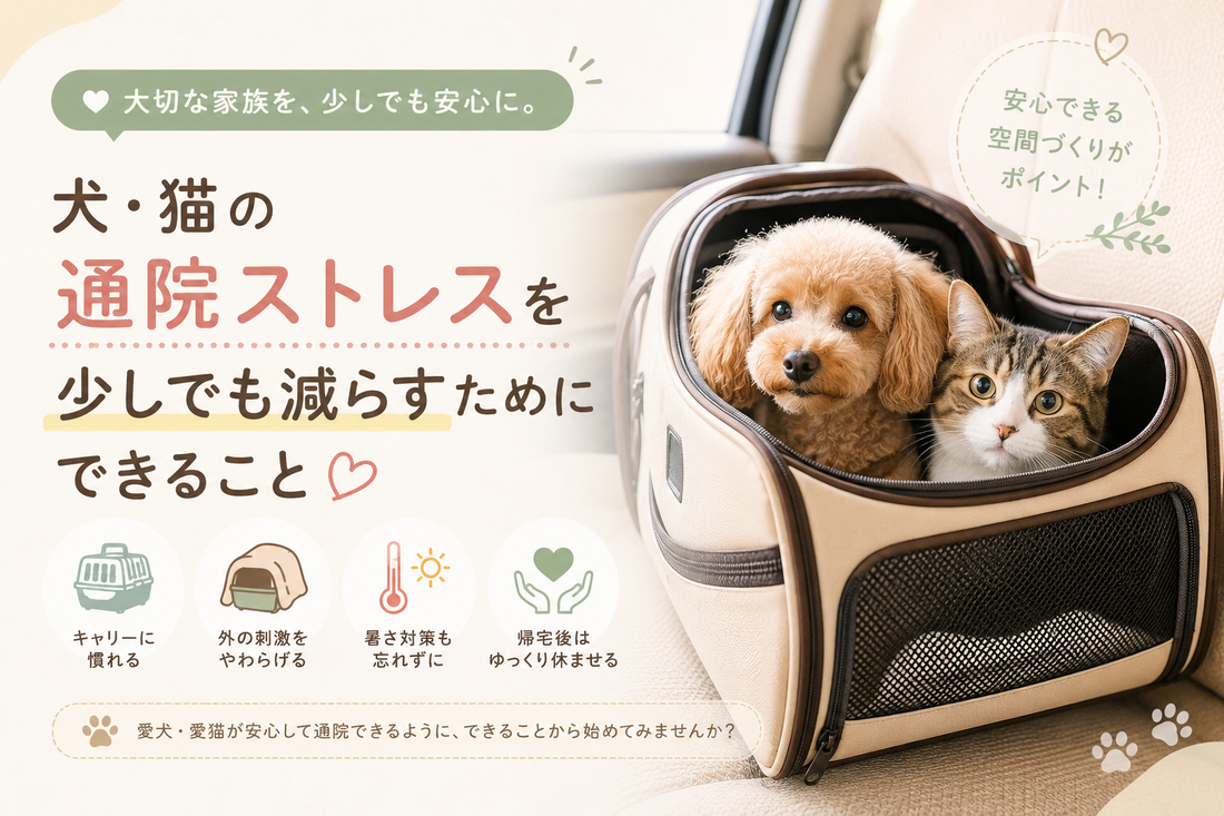 犬・猫の通院ストレスを少しでも減らすためにできること