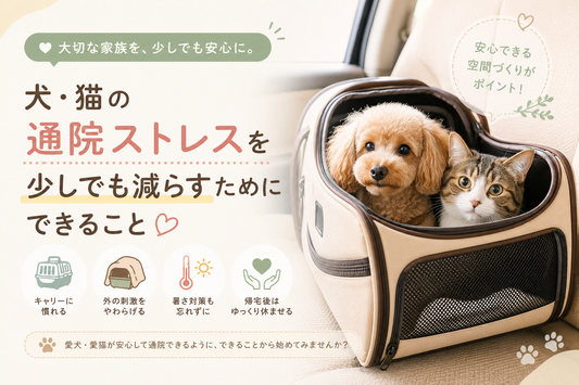 犬・猫の通院ストレスを少しでも減らすためにできること