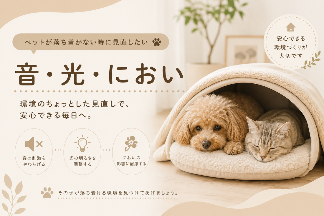 ペットが落ち着かない時に見直したい「音・光・におい」