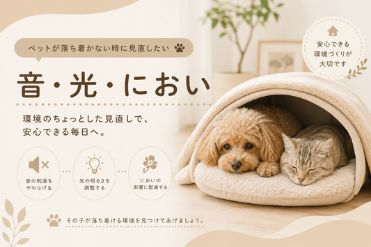 ペットが落ち着かない時に見直したい「音・光・におい」