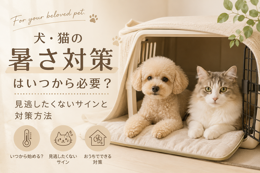 犬・猫の暑さ対策はいつから？熱中症のサインと今すぐできる対策を解説