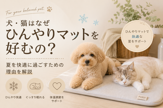 犬・猫はなぜひんやりマットを好むの？夏を快適に過ごすための理由を解説