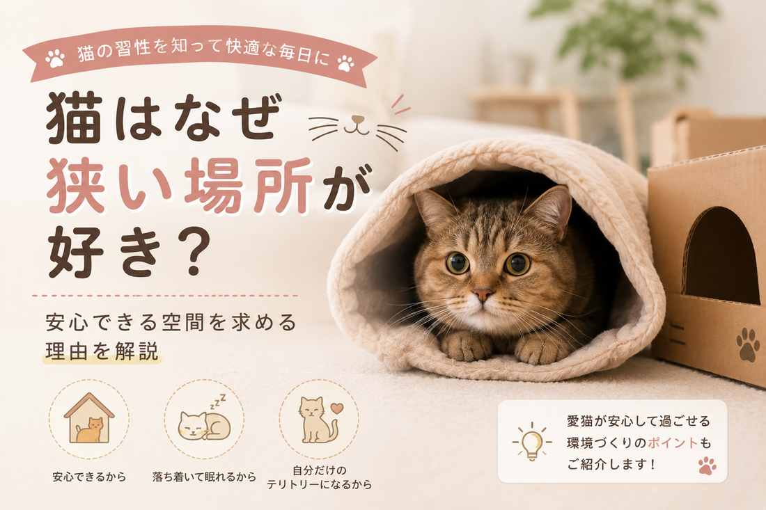 猫はなぜ狭い場所が好き？安心できる空間を求める理由を解説