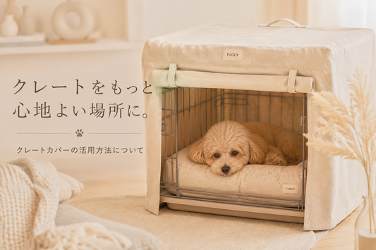 クレートをもっと心地よい場所に。クレートカバーの活用方法について