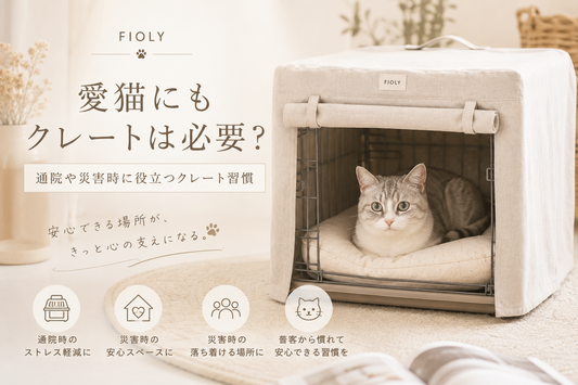 愛猫にもクレートは必要？通院や災害時に役立つクレート習慣
