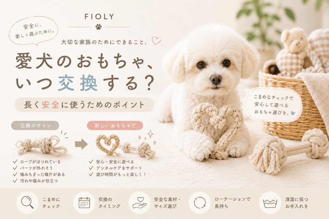 愛犬のおもちゃ、いつ交換する？長く安全に使うためのポイント