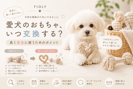愛犬のおもちゃ、いつ交換する？長く安全に使うためのポイント