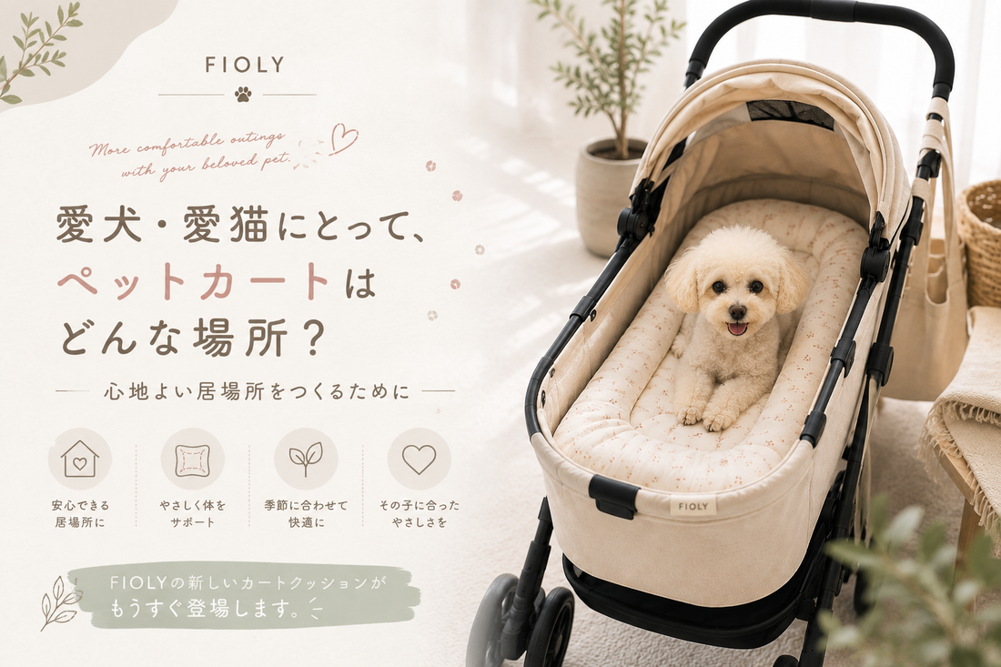 愛犬・愛猫にとって、ペットカートはどんな場所？心地よい居場所をつくるために