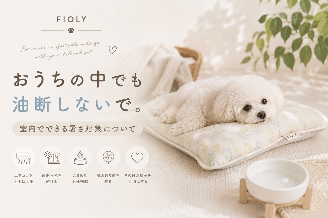 おうちの中でも油断しないで。室内でできる暑さ対策について