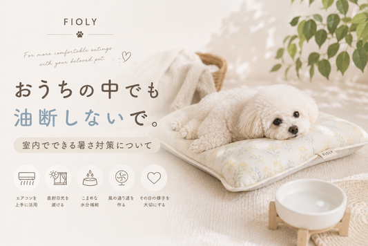 おうちの中でも油断しないで。室内でできる暑さ対策について