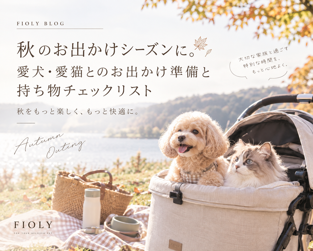 秋のお出かけシーズンに。愛犬・愛猫とのお出かけ準備と持ち物チェックリスト