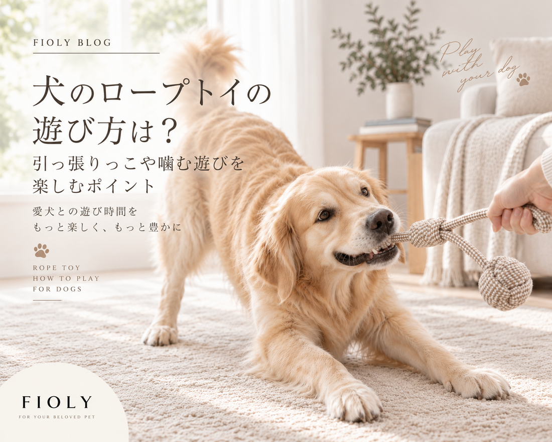 犬のロープおもちゃの遊び方は？引っ張りっこや噛む遊びを楽しむポイント