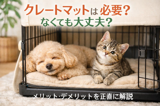クレートマットは必要？なくても大丈夫？メリット・デメリットを正直に解説