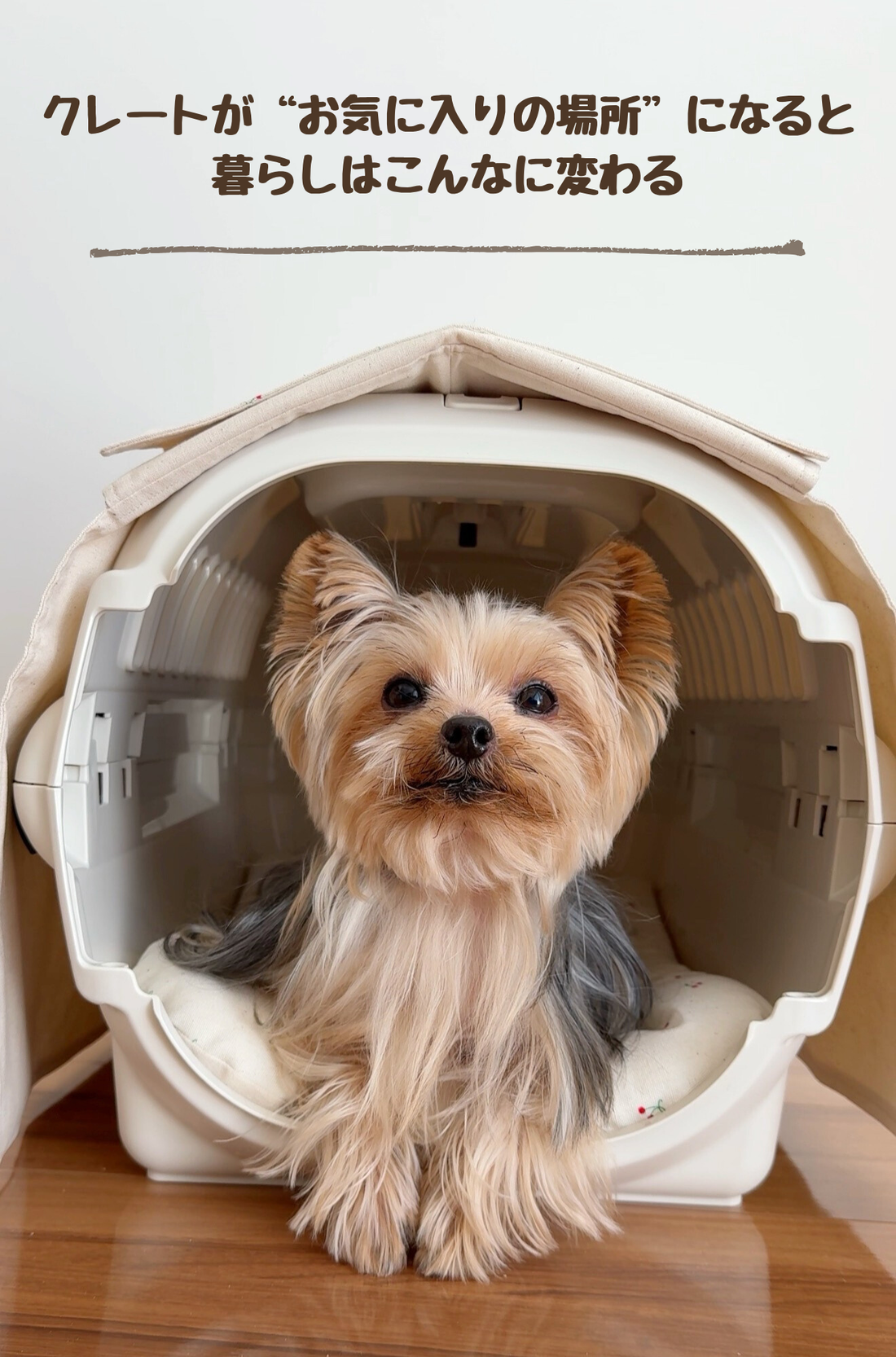 「クレートが“お気に入りの場所”になると、暮らしはこんなに変わる」