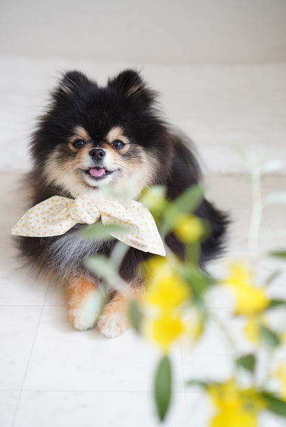Breeze Bandana － ひんやりクールバンダナ － Yellow flower ｜ 送料無料 ｜ 4サイズ展開（XS/S/M/L）