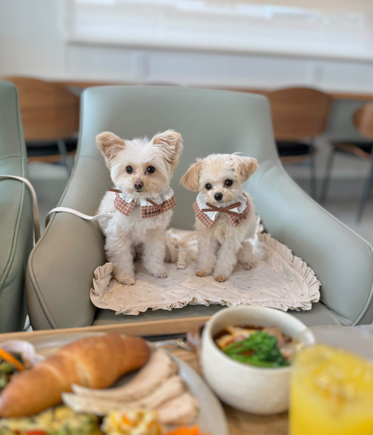 FIOLY 犬用カフェマット　Mini Cherry｜綿100％・洗濯OK｜フリルあり／なし｜送料無料