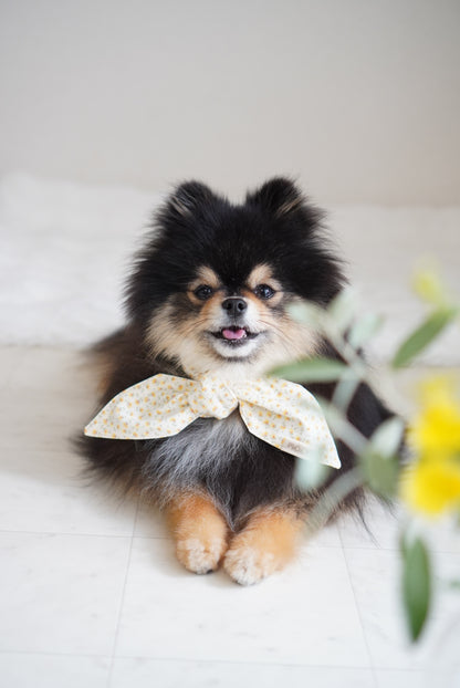 Breeze Bandana － ひんやりクールバンダナ － Yellow flower ｜ 送料無料 ｜ 4サイズ展開（XS/S/M/L）