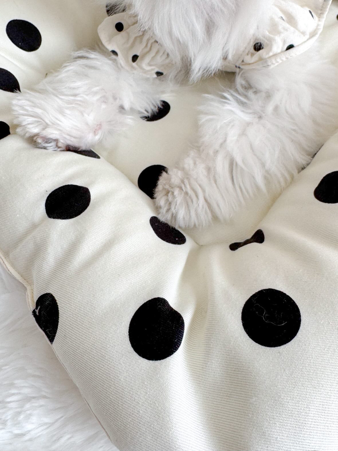 FIOLY クレートマット 犬 猫 用｜送料無料｜洗える 綿100％｜全３色 4サイズ展開｜通院・移動・ハウス用　　ドット柄