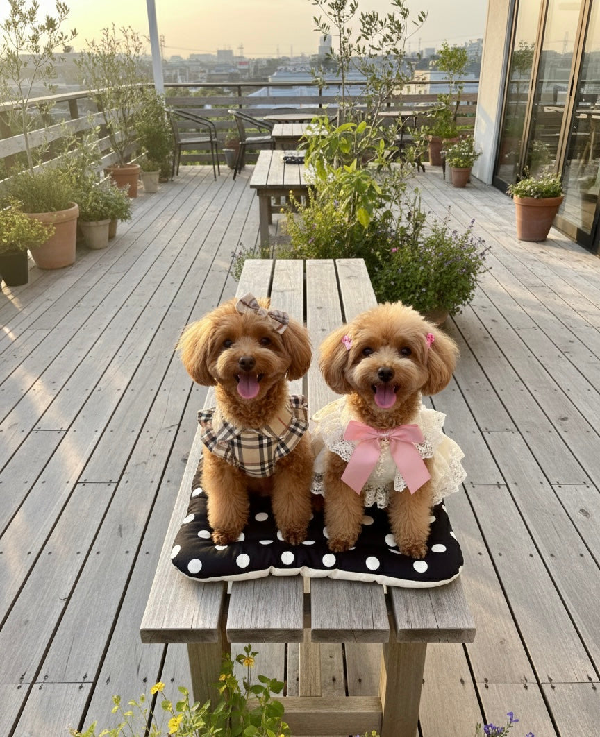 FIOLY クレートマット 犬 猫 用｜送料無料｜洗える 綿100％｜全３色 4サイズ展開｜通院・移動・ハウス用　　ドット柄