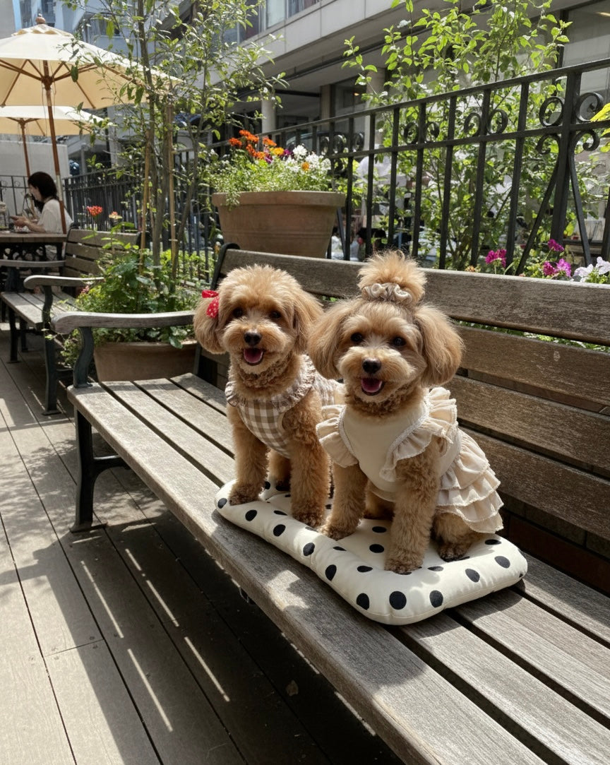 FIOLY クレートマット 犬 猫 用｜送料無料｜洗える 綿100％｜全３色 4サイズ展開｜通院・移動・ハウス用　　ドット柄