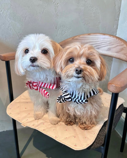 FIOLY 犬用カフェマット　Mini Cherry｜綿100％・洗濯OK｜フリルあり／なし｜送料無料